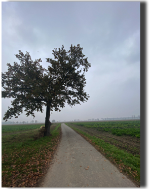 A51B0DCD-987F-4D25-B86C-D71B9502A2DF.jpeg A51B0DCD-987F-4D25-B86C-D71B9502A2DF.jpeg