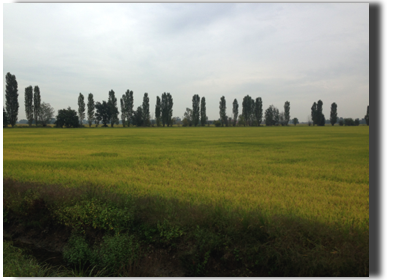 A67BF986-F429-46DD-B85B-0462D51B3143.jpeg A67BF986-F429-46DD-B85B-0462D51B3143.jpeg