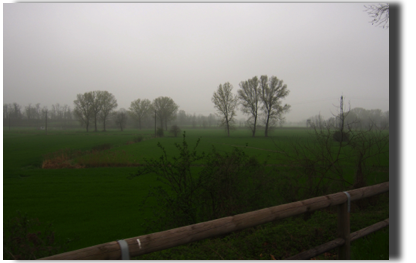 P3200016.JPG P3200016.JPG