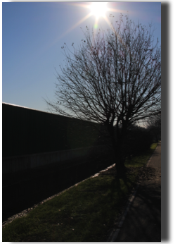 CF84F724-4A17-498E-AC08-AB62ECB3AD84.jpeg CF84F724-4A17-498E-AC08-AB62ECB3AD84.jpeg