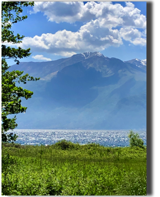 IMG_1242.jpeg
