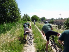 LRG_DSC00490.JPG LRG_DSC00490.JPG