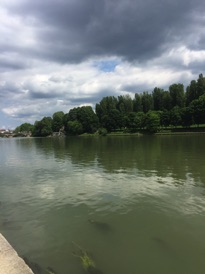 IMG_3135.JPG IMG_3135.JPG