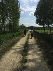 IMG_3184.JPG IMG_3184.JPG