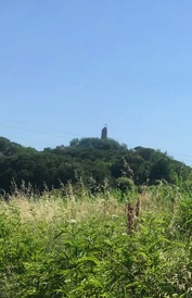 IMG_1447.jpeg IMG_1447.jpeg