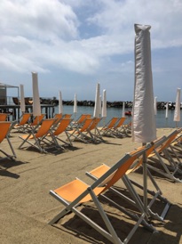 IMG_1509.jpeg IMG_1509.jpeg